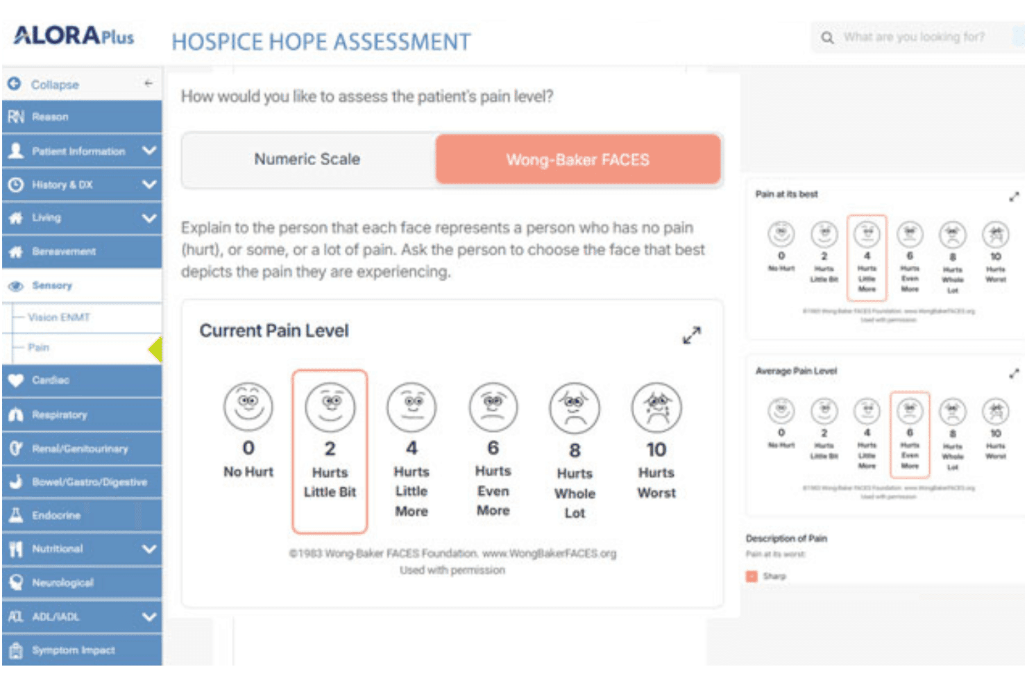 Die Alora-Hospizsoftware verwaltet Dokumentation, IDG-Besprechungen, Abrechnung und Pflegepläne.