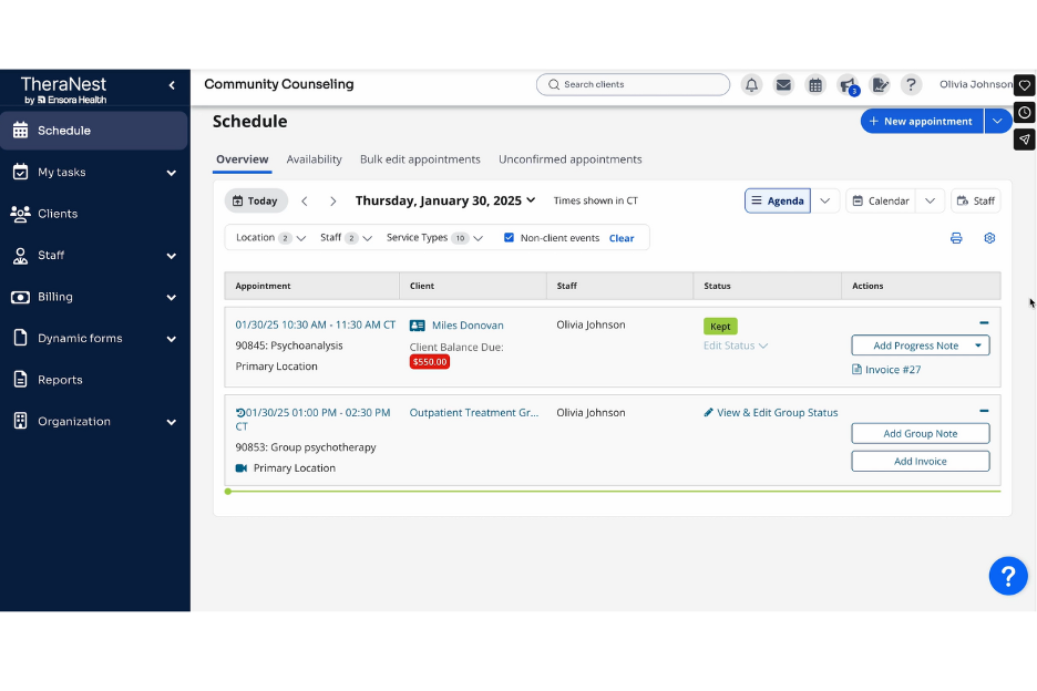 Ensora Health TheraNest screenshot - 10 Mejores Programas de Contabilidad Compatibles con HIPAA para 2026