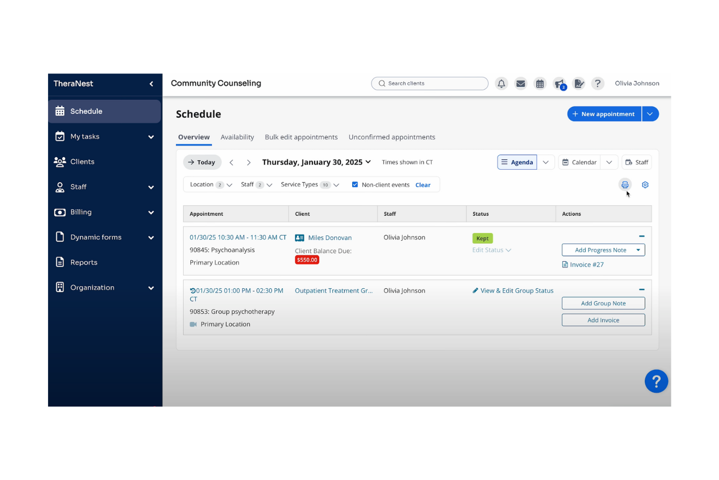 Ensora Health TheraNest screenshot - 10 migliori soluzioni software di prenotazione conformi HIPAA per (2026)