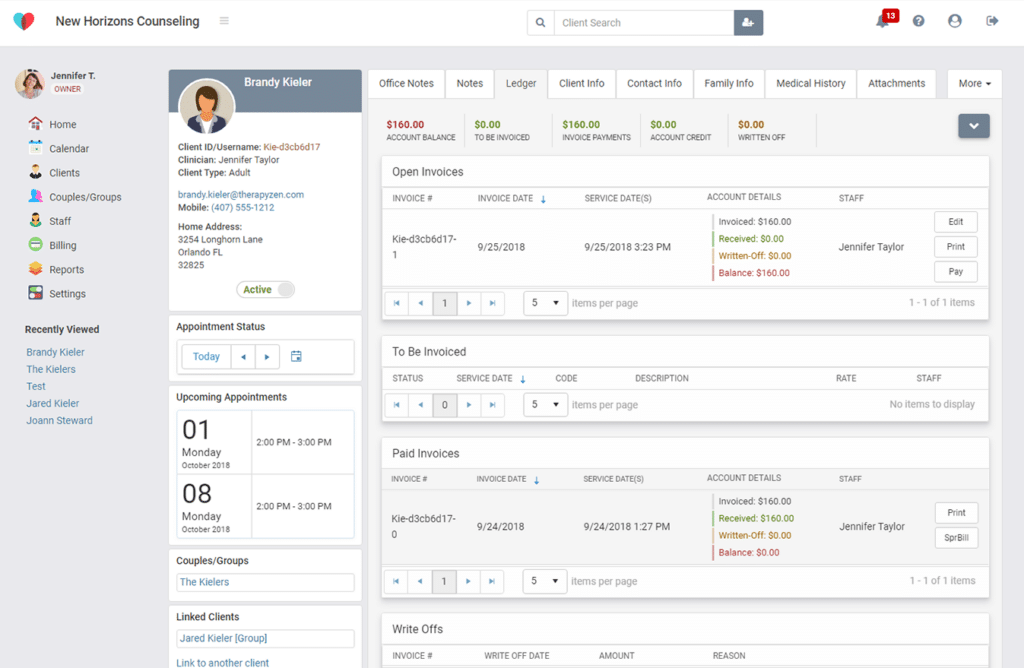 TherapyZen screenshot - 10 migliori software per la terapia recensiti nel 2026