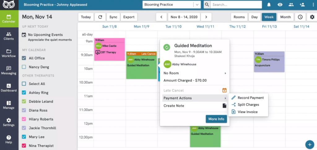 OwlPractice screenshot - 10 migliori software per la terapia occupazionale recensiti nel 2026