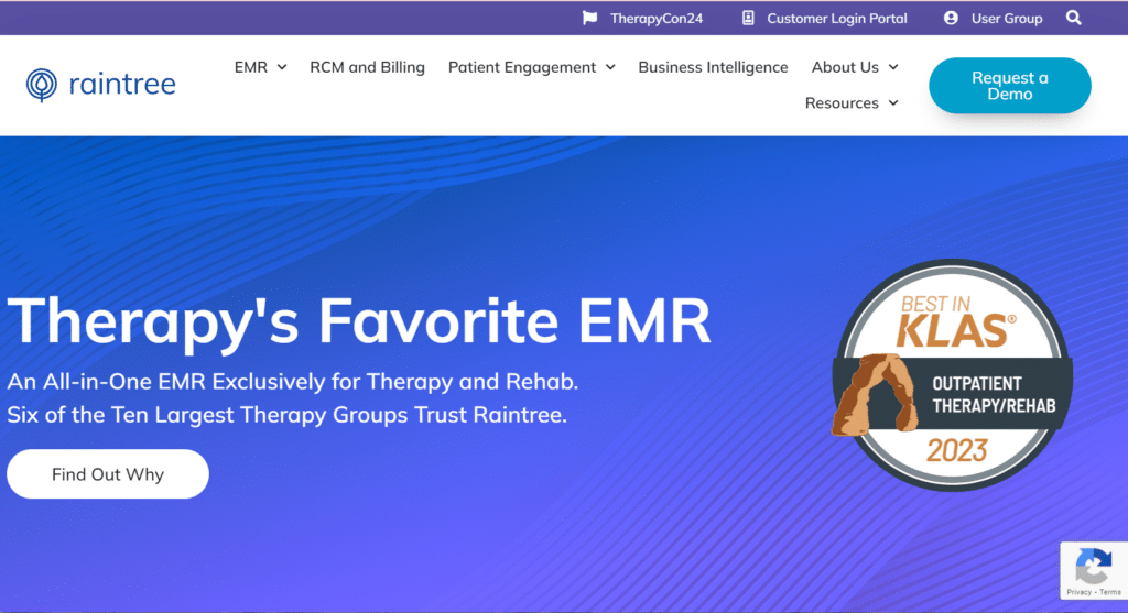 Raintree screenshot - 10 migliori EMR per la fisioterapia per 2026 [Le mie recensioni]
