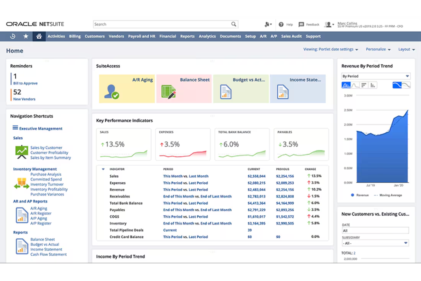 NetSuite screenshot - 10 Migliori Soluzioni Software Sanitarie per 2026